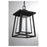 Savoy House Denver 1 Light Outdoor Hanging Lantern, Black/Seeded