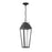 Savoy House Brookline LED Outdoor Hanging Lantern, Matte Black/Clear