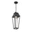 Savoy House Brookline LED Outdoor Hanging Lantern, Matte Black/Clear