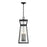 Savoy House Millford 3 Light Outdoor Hanging Lantern, Black/Clear