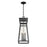 Savoy House Millford 3 Light Outdoor Hanging Lantern, Black/Clear