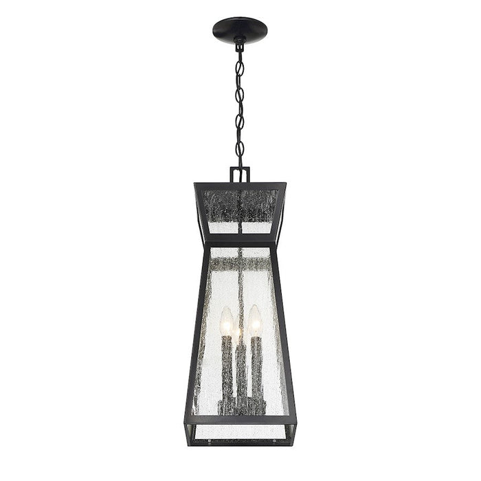 Savoy House Millford 3 Light Outdoor Hanging Lantern, Black/Clear