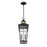 Savoy House Kingsley 2 Lt Outdoor Hanging Lantern, Black/Brass/Clear