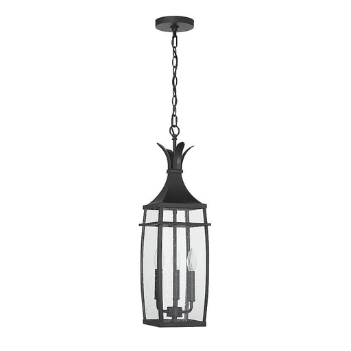 Savoy House Montpelier 3 Light Outdoor Hanging Lantern, Black/Clear