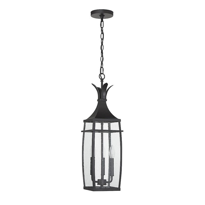 Savoy House Montpelier 3 Light Outdoor Hanging Lantern, Black/Clear