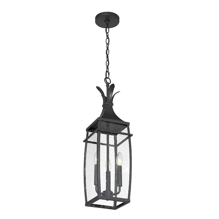 Savoy House Montpelier 3 Light Outdoor Hanging Lantern, Black/Clear