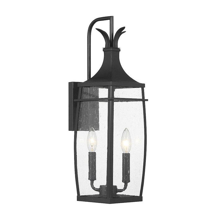 Savoy House Montpelier Outdoor Wall Lantern, Black/Clear