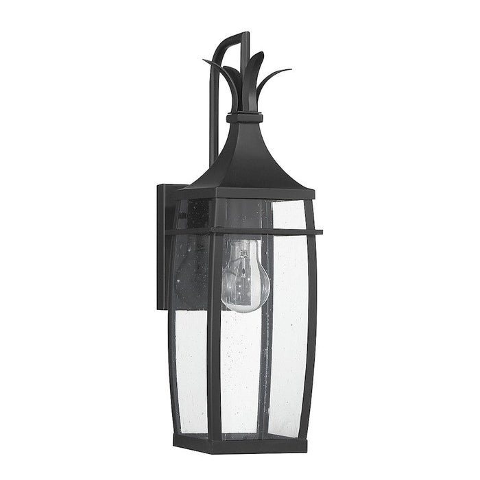 Savoy House Montpelier Outdoor Wall Lantern, Black/Clear