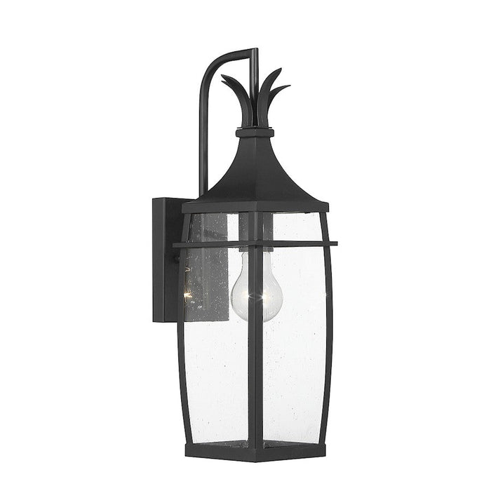 Savoy House Montpelier Outdoor Wall Lantern, Black/Clear