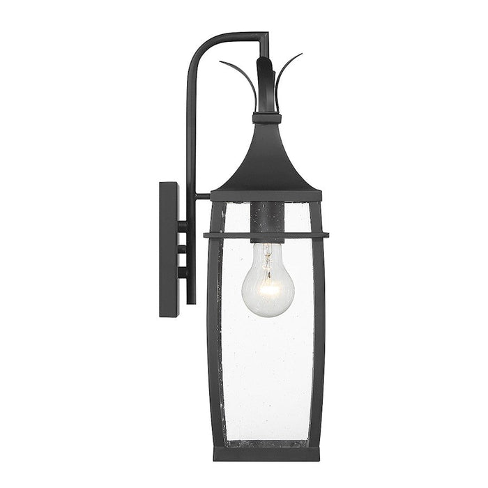 Savoy House Montpelier Outdoor Wall Lantern, Black/Clear