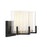 Savoy House Eaton 2 Light Vanity Light, Black/Brass/Clear