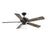 Meridian Farmhouse 52" 1 Light Ceiling Fan