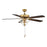 Meridian Traditional 2 Light 52" Ceiling Fan, Brass/Clear Bubble - M2019NBRV