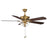 Meridian Modern 2 Light 52" Outdoor Ceiling Fan, Brass/Clear - M2026NBRV