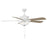 Meridian Modern 2 Light 52" Outdoor Ceiling Fan, White/Clear - M2026WHRV