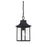 Meridian Traditional 1 Light Outdoor Hanging Lantern, Black/Clear - M50052BK