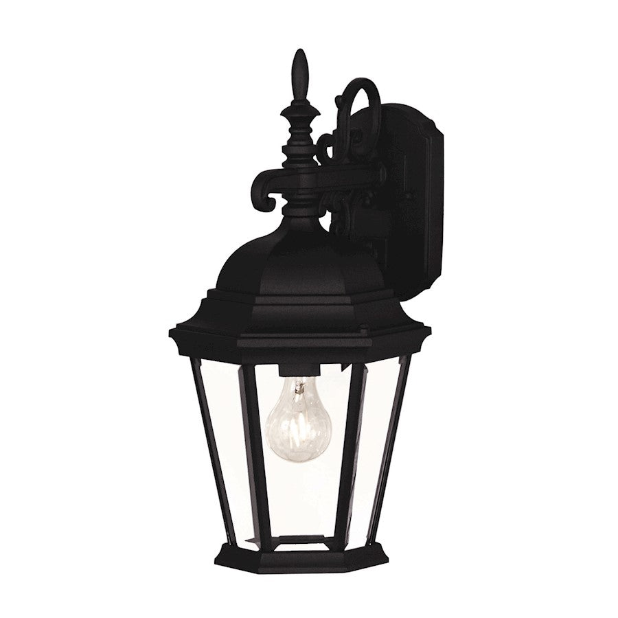 Meridian Transitional 1 Light 9" Outdoor Wall Lantern, Black/Clear - M50055BK