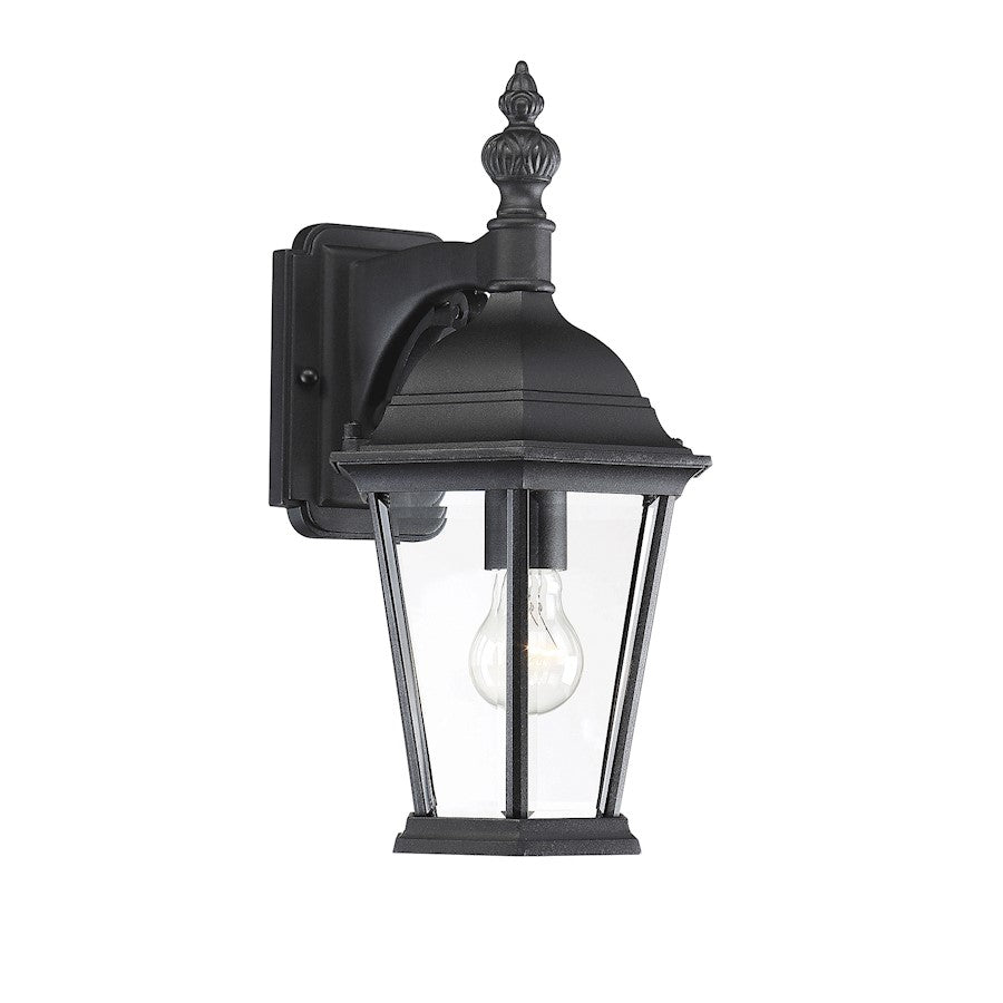 Meridian Transitional 1 Light 15.5" Outdoor Wall Lantern, Black/Clear - M50062BK