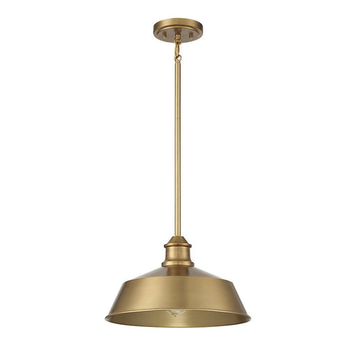 Meridian Vintage 1 Light 8" Pendant