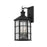 Troy Lighting Lake County 4 Light Medium Exterior Sconce, Iron/Clear - B2512-FRN