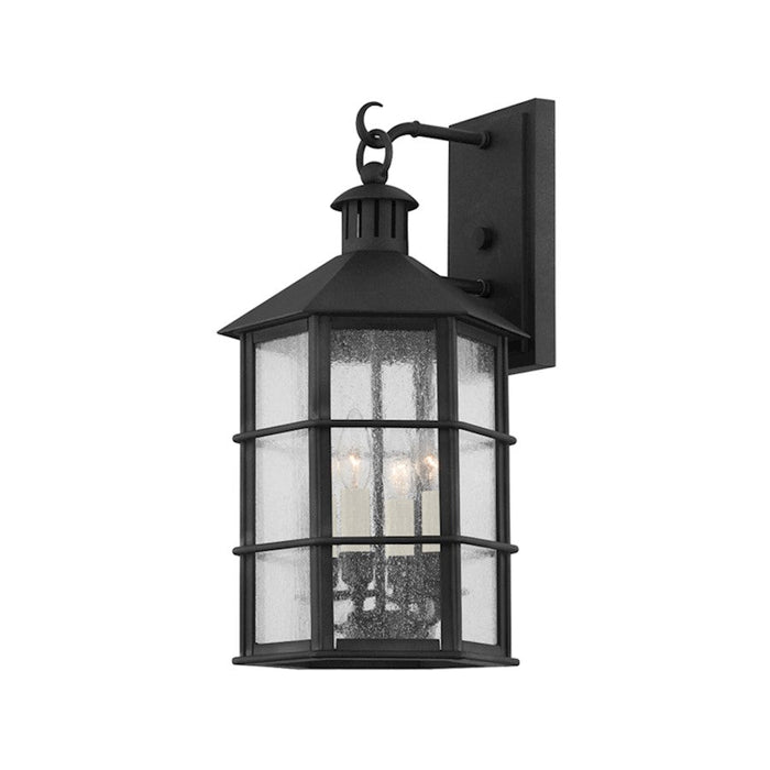 Troy Lighting Lake County 4 Light Medium Exterior Sconce, Iron/Clear - B2512-FRN