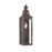 Troy Lighting Newton 1Lt Wall Pocket Sconce, Small, Bronze/Seed - B9007-SFB