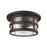 Troy Lighting Barbosa 2 Light Flush Mount, Aged Pewter - C3310-APW