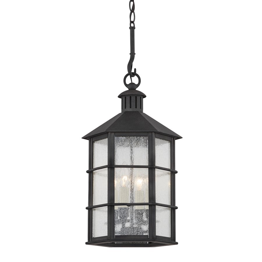 Troy Lighting Lake County 4 Light Exterior Lantern, Iron/Seeded - F2526-FRN