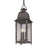 Troy Lighting Larchmont 3Lt Hanging Pendant, Medium, Pewter/Seed - F3217-VBZ