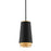 Troy Lighting Fahrenheit 1Lt Pendant, Small, Black/Gold - F5541-TBK-VGL