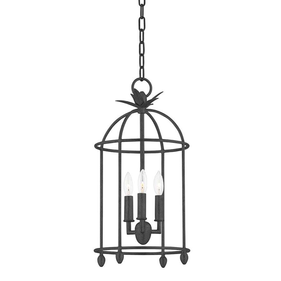 Troy Lighting Brooks 3 Light Pendant, Black Iron - F5712-BI