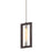 Troy Lighting Enigma 1 Light Pendant, Textured Bronze - F6183-TBZ-SS