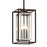 Troy Lighting Morgan 3Lt Hanging Pendant, Bronze/Stainless/Clear - F6517-BRZ-SS