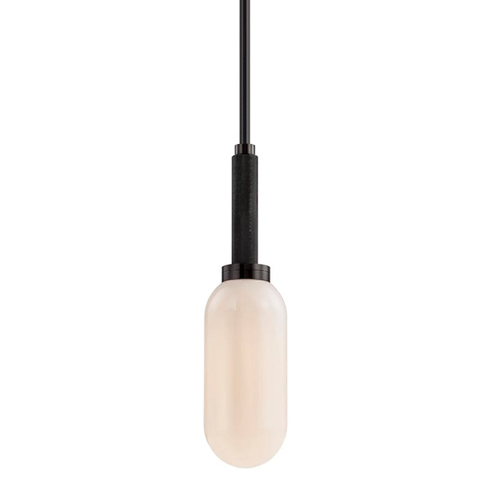 Troy Lighting Annex 1 Light Pendant, Anodized Black - F7353-AN