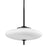 Troy Lighting Fallon 2 Light 13" Pendant, Black/Black/Opal White - F7775-SBK