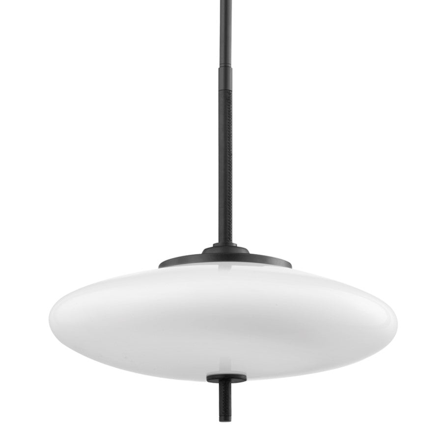 Troy Lighting Fallon 2 Light 13" Pendant, Black/Black/Opal White - F7775-SBK