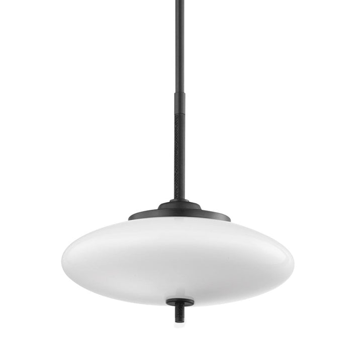 Troy Lighting Fallon 2 Light 18" Pendant, Black/Black/Opal White - F7776-SBK