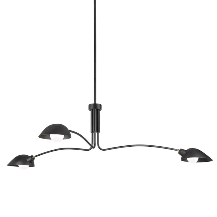 Troy Lighting Leo 3 Light Pendant, Satin Black - F7813-SBK