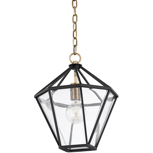 Troy Lighting Moss 1 Light 12" Lantern, Brass/Black/Clear - F8212-PBR-TBK