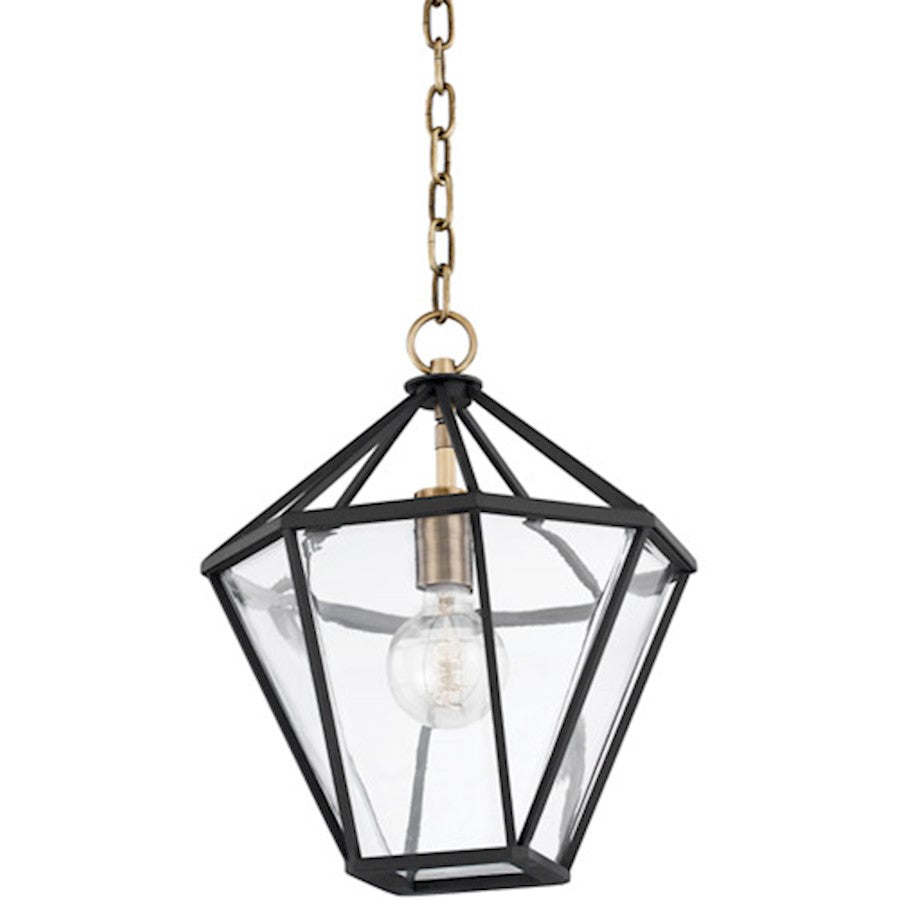 Troy Lighting Moss 1 Light 12" Lantern, Brass/Black/Clear - F8212-PBR-TBK