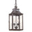 Troy Lighting Newton 2Lt Hanging Pendant, Medium, Bronze/Seed - F9004-SFB