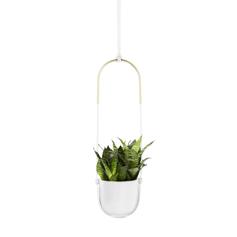 Umbra Bolo Planter