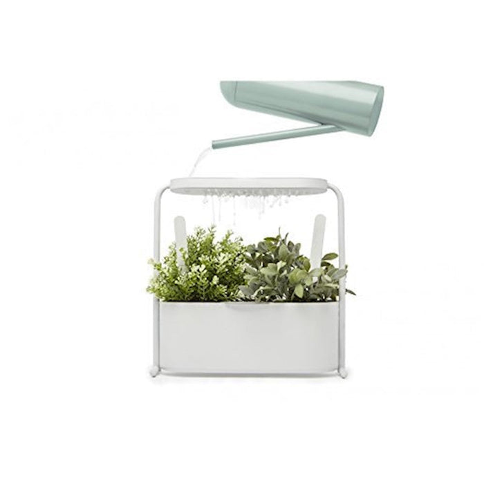 Umbra Giardino Planter, White