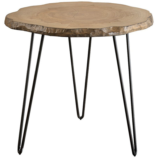 Uttermost Runay Wood Slab Side Table - 25468