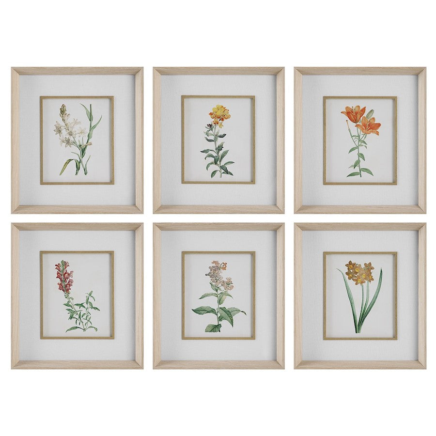 Uttermost Classic Botanicals Framed Prints, Set of 6 - 32284