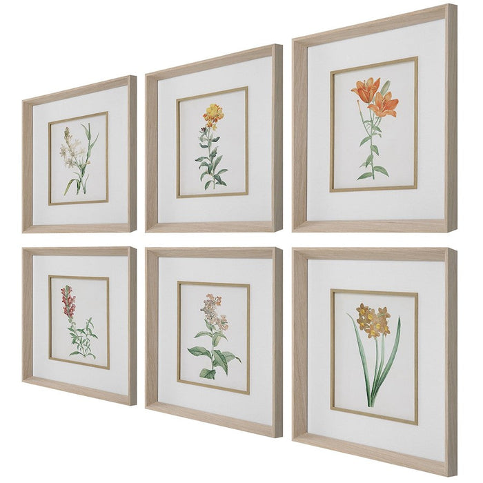 Uttermost Classic Botanicals Framed Prints, Set Of 6