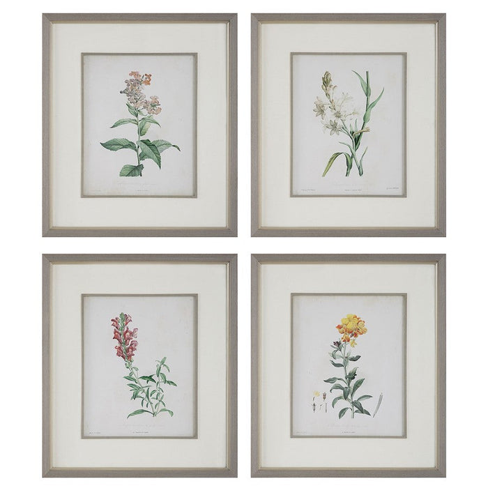 Uttermost Heirloom Blooms Study Framed Prints, Set of 4 - 32285