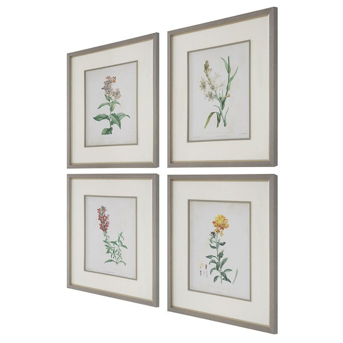 Uttermost Heirloom Blooms Study Framed Prints, Set Of 4