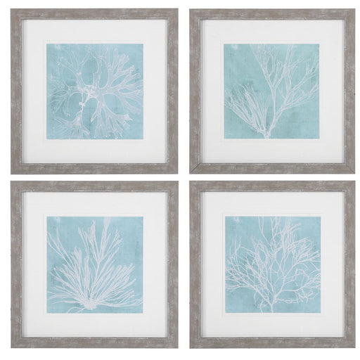 Uttermost Seaweed On Aqua Framed Prints, Set of 4