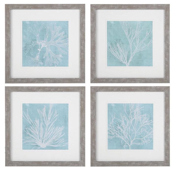 Uttermost Seaweed On Aqua Framed Prints, Set of 4